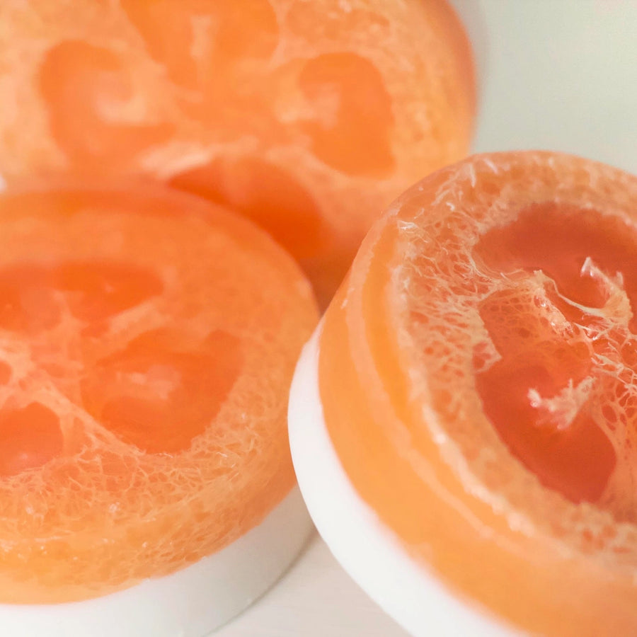 Loofah Soap | Paradise Valley